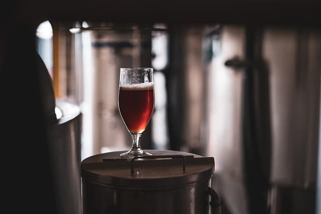 Tree House — Masters of the Hoppy Illusion