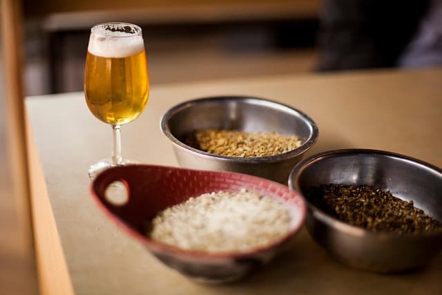 beer